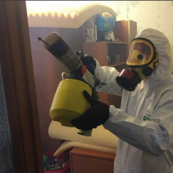 Уничтожение клопов в квартире. Ужур